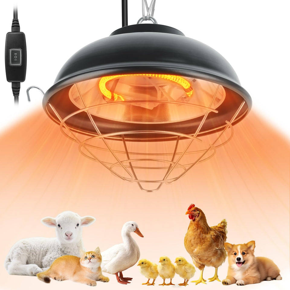 Poiyham 350W heat lamp for chickens delivering quick warmth across the coop