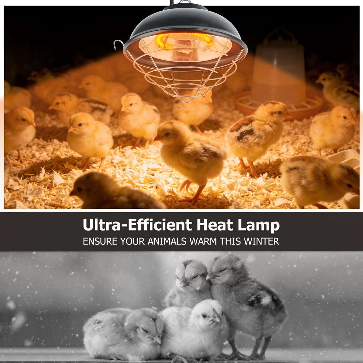 Poiyham heat lamp simulates natural sunlight for poultry comfort