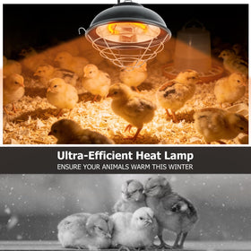 Poiyham heat lamp simulates natural sunlight for poultry comfort