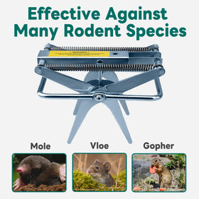 POlAFLEX 2-pack offers ready to use mole control for busy seasons
