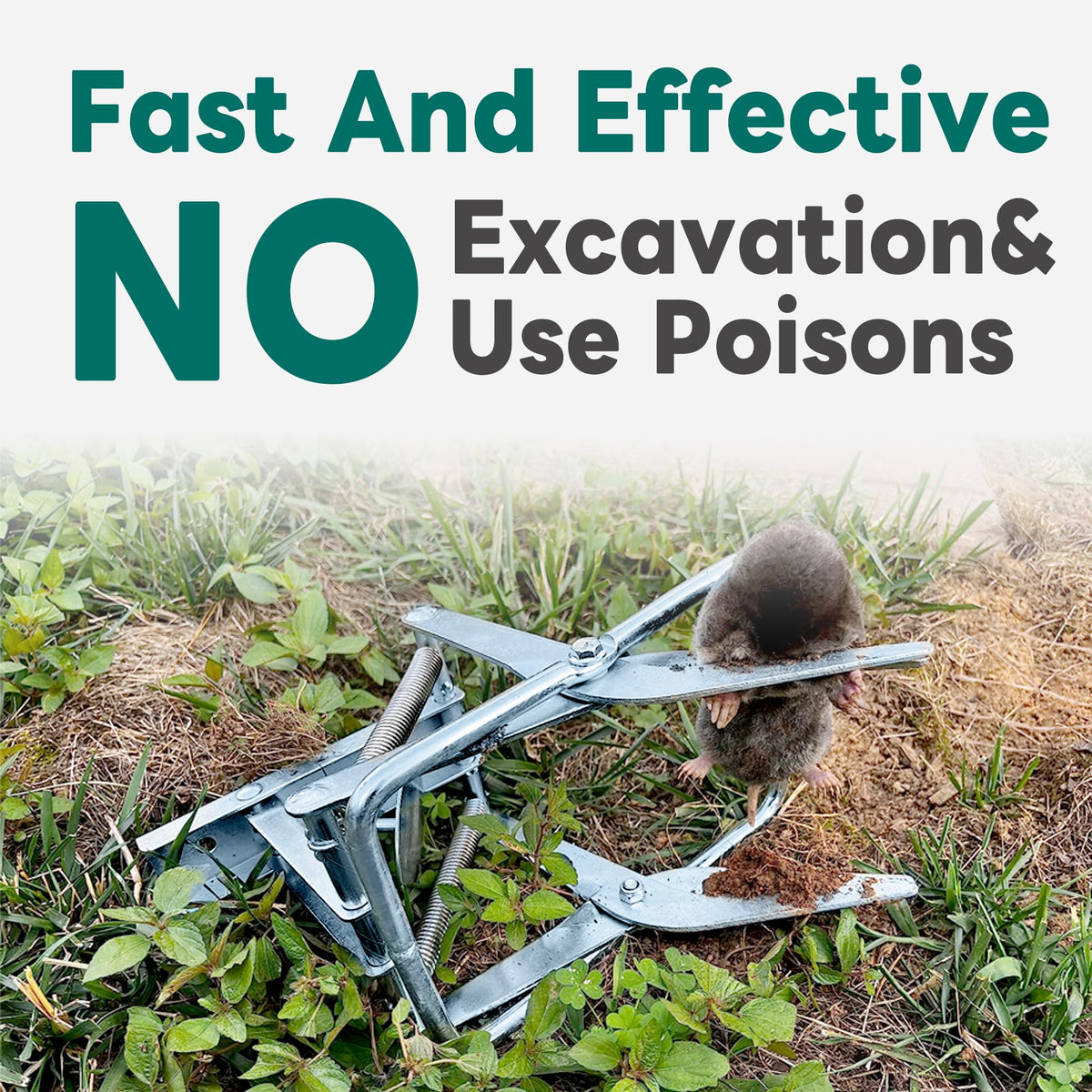 POlAFLEX trap usage in garden protects crops without poisons