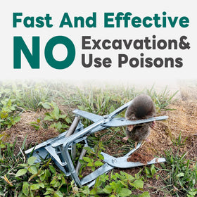 POlAFLEX trap usage in garden protects crops without poisons