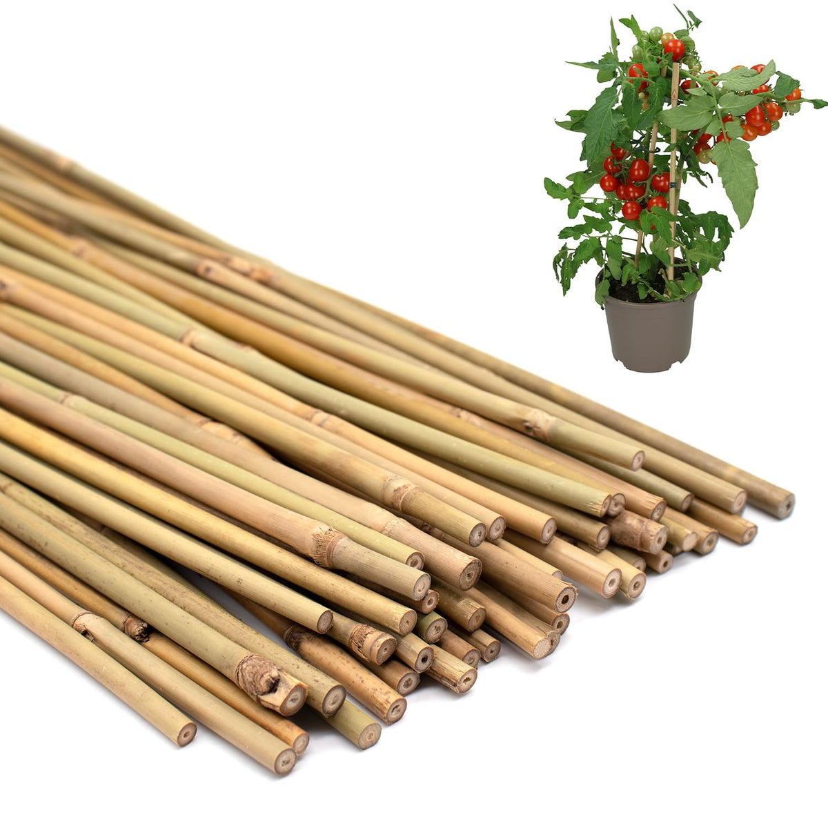 POLIUMB 18-inch bamboo stake for tomatoes offers sturdy plant support.