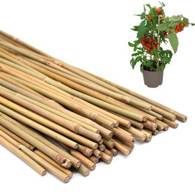 POLIUMB 18-inch bamboo stake for tomatoes offers sturdy plant support.