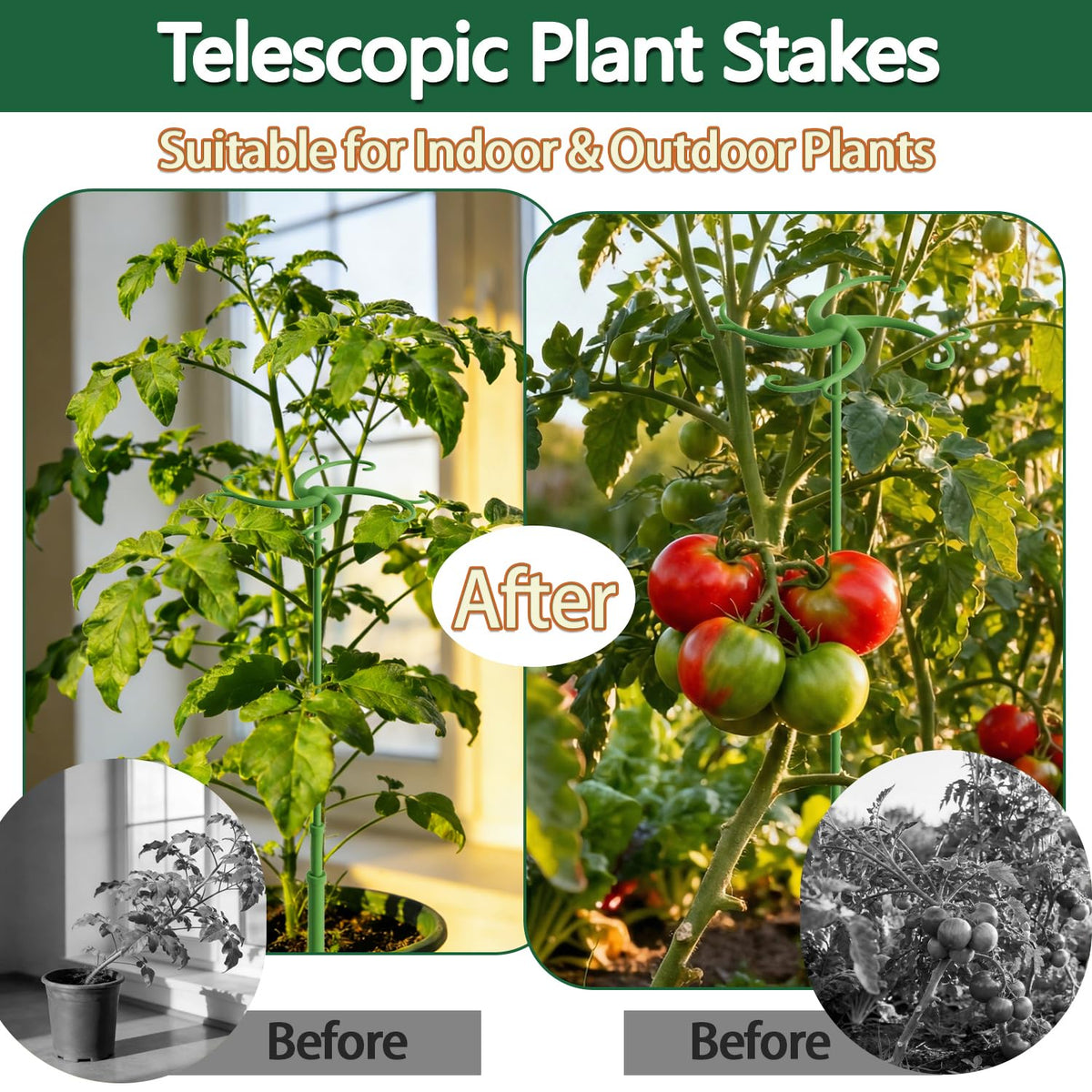 POLIUMB climbing vine support setup demonstrating easy installation