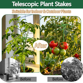 POLIUMB climbing vine support setup demonstrating easy installation