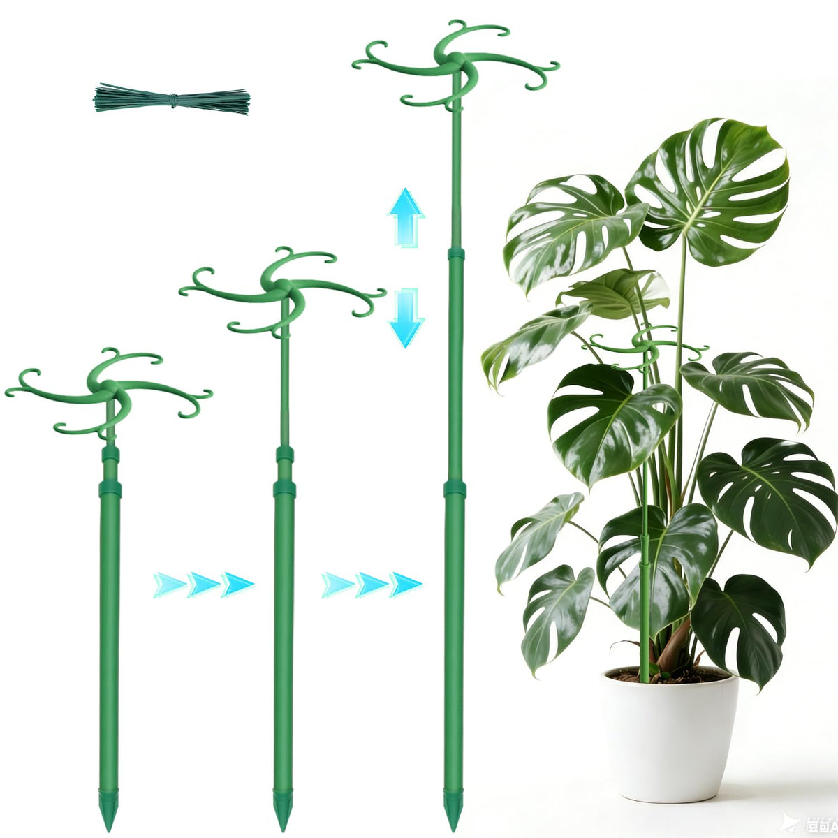 POLIUMB telescoping plant stake showing adjustable height for Monstera and vines