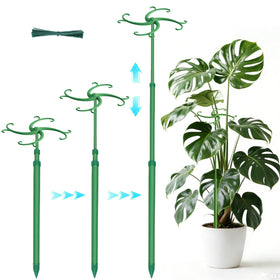 POLIUMB telescoping plant stake showing adjustable height for Monstera and vines