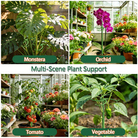 POLIUMB top clips securely hold stems without damage for stable growth