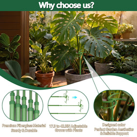 POLIUMB universal compatibility supports Monstera, orchids, tomatoes and climbing vines