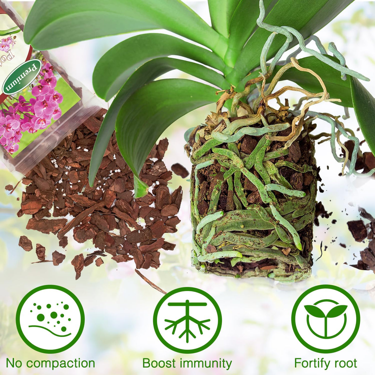 POLIUMB Well-drained mix structure supports healthy root growth.