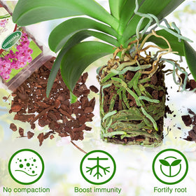 POLIUMB Well-drained mix structure supports healthy root growth.