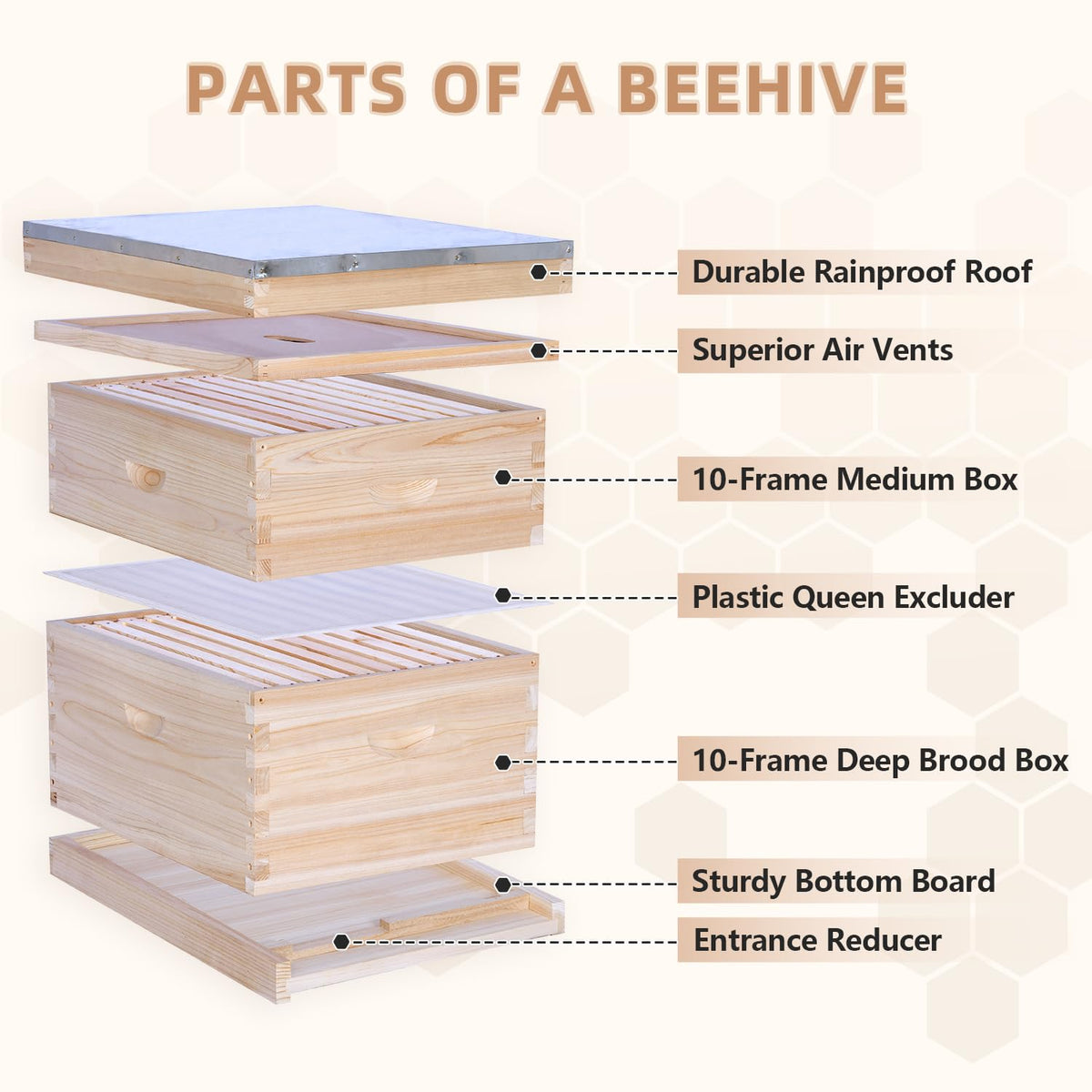 POLLIBEE 10-frame Langstroth kit ready for efficient beekeeping setup.