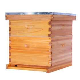 POLLIBEE 10-frame hive with beeswax coating for weather durability