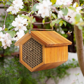 Assembled POLLIBEE mason bee nest with stainless steel clasp for easy mounting.