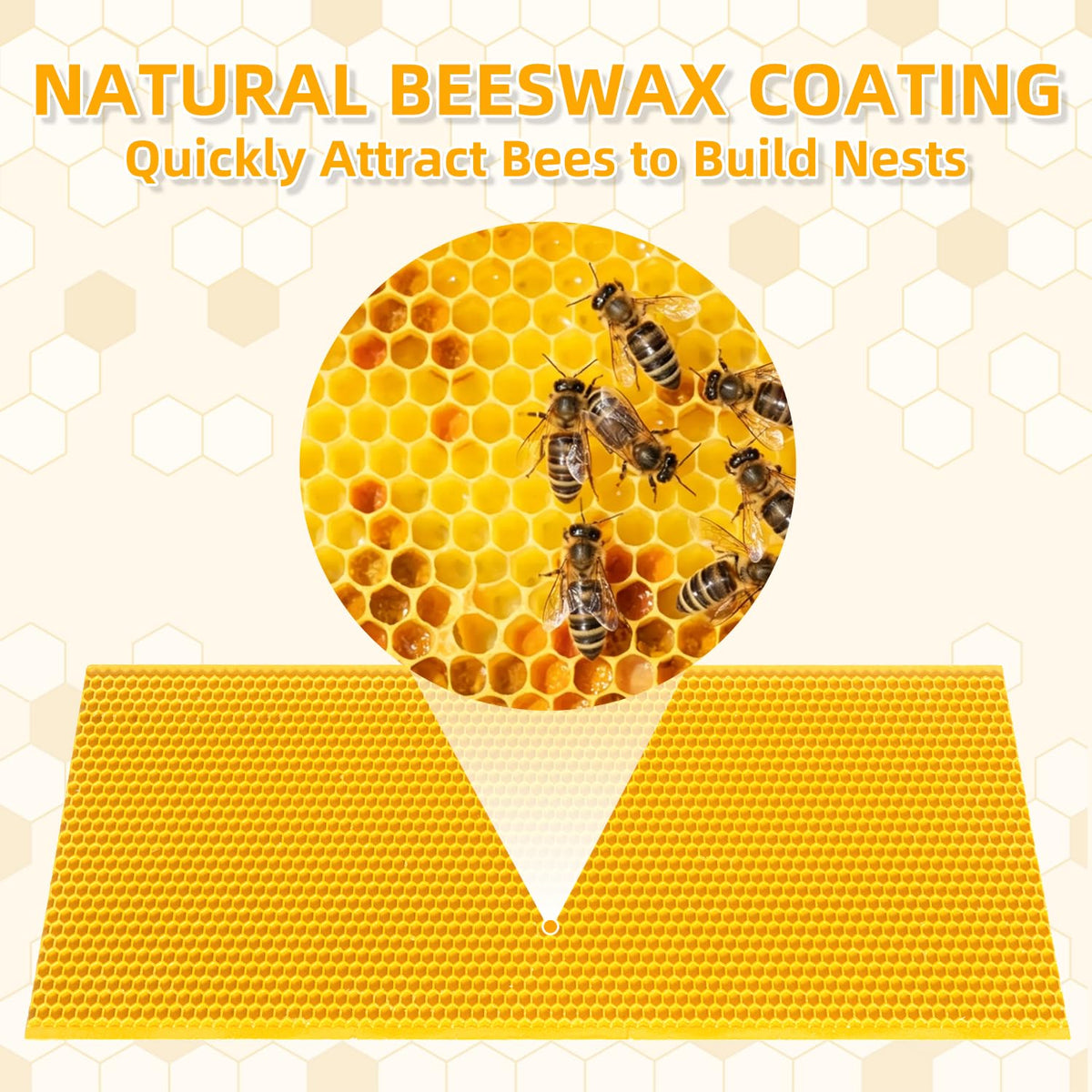 Close-up of POLLIBEE beeswax coating on foundation sheets for natural hive-building