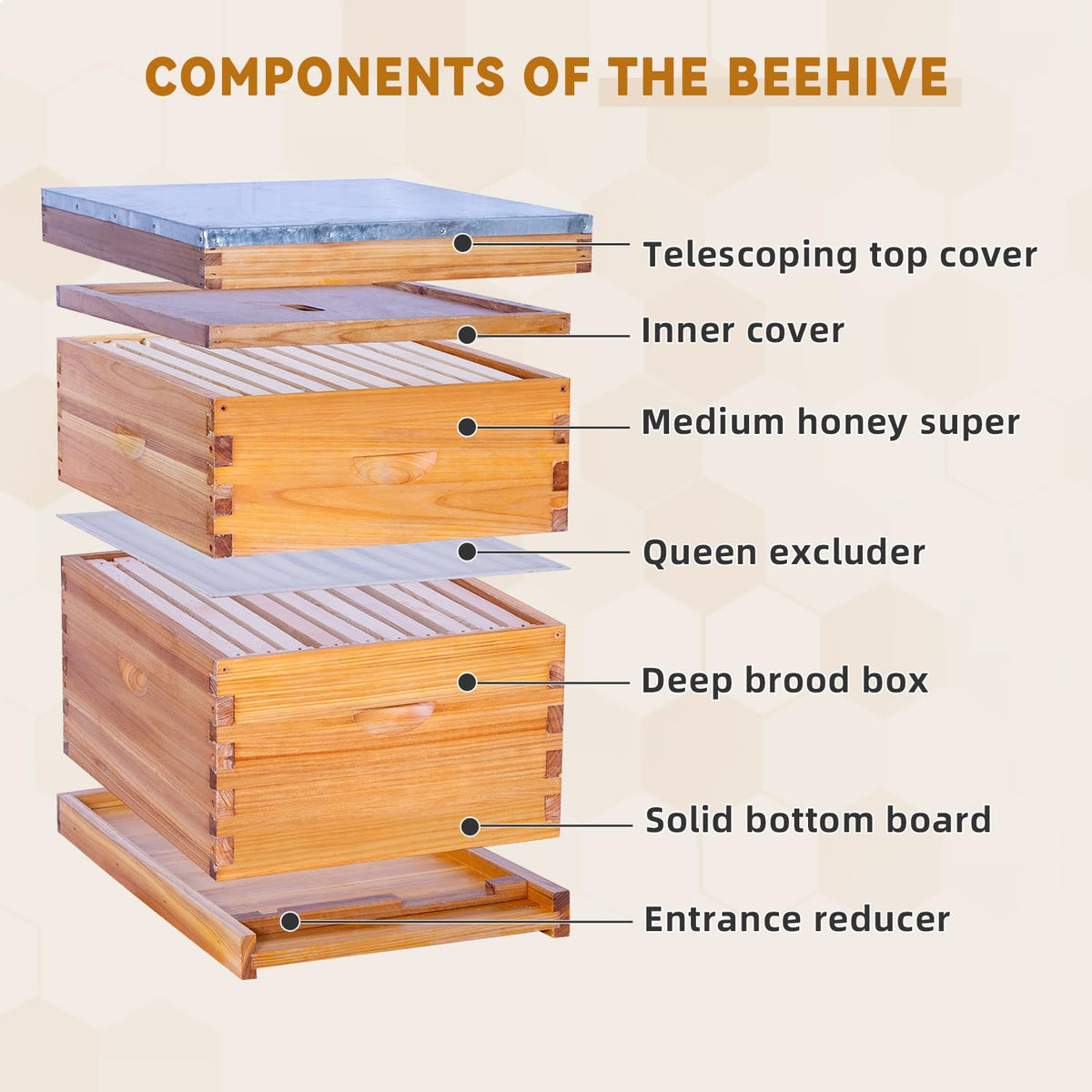 POLLIBEE cedar hive showcasing durable wooden construction