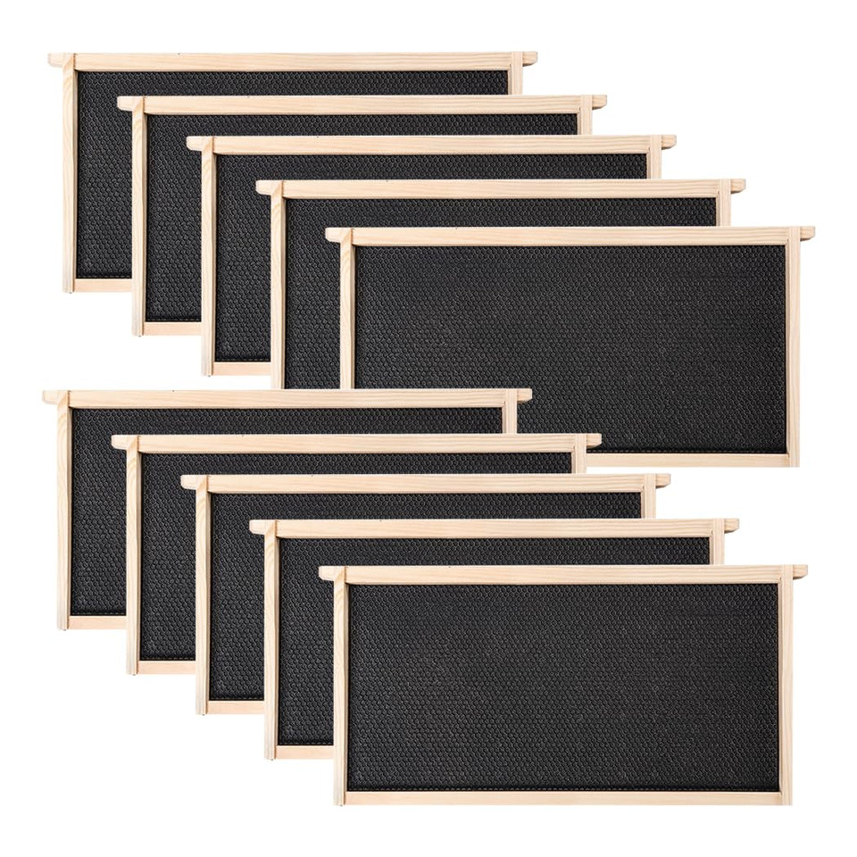 Pollibee Deep Brood Frames with beeswax-coated foundations for easier brood inspection.