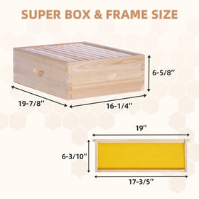 POLLIBEE frames and foundations with beeswax coating encourage healthy comb development.