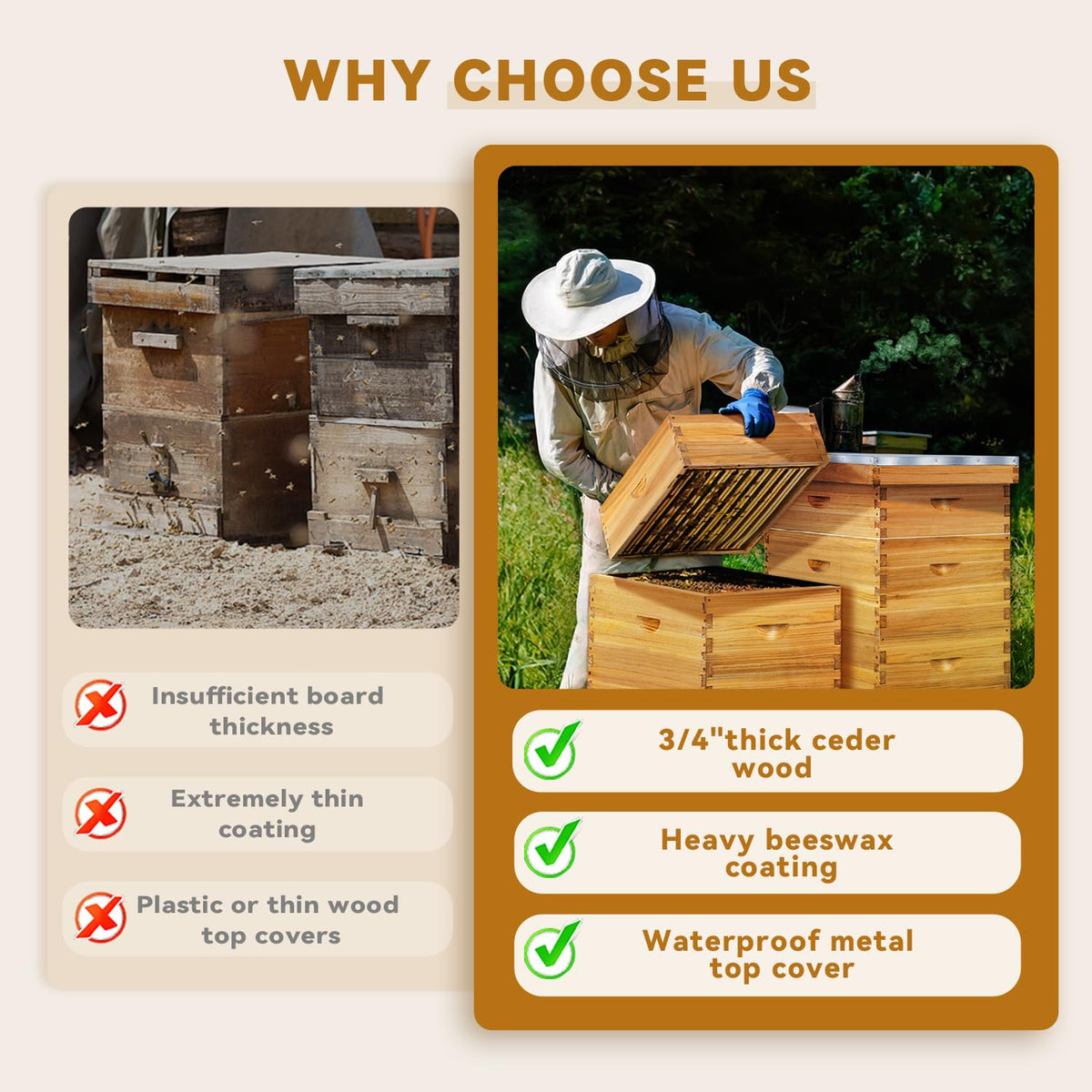 POLLIBEE 20 frames with beeswax foundations for colonies
