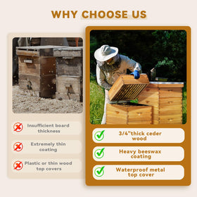 POLLIBEE 20 frames with beeswax foundations for colonies