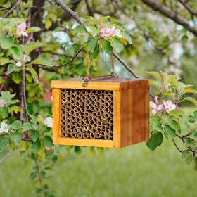POLLIBEE Habitat tubes ready for mason bees to nest and thrive
