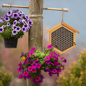 POLLIBEE bee hotel hanging on tree or wall for garden pollinators.