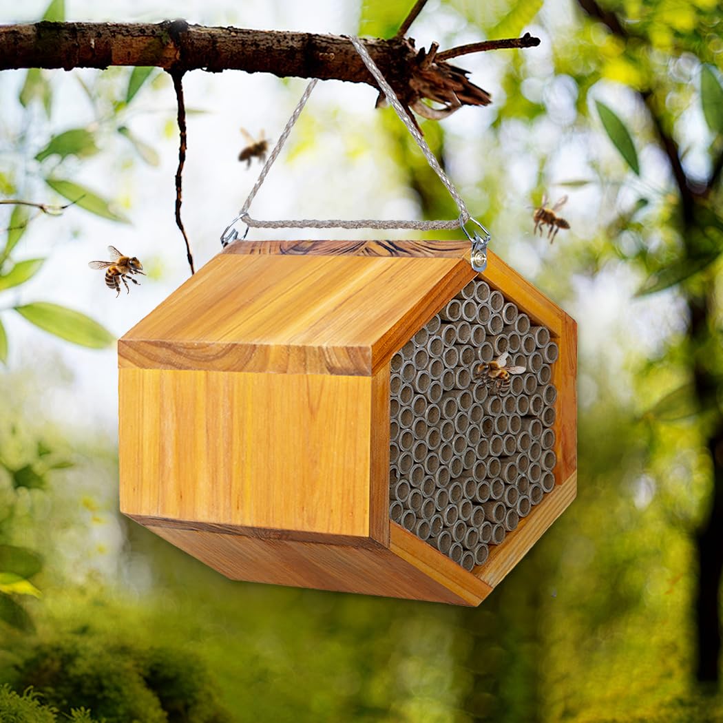 Pollibee Garden pollination benefits attract peaceful bees for better yields