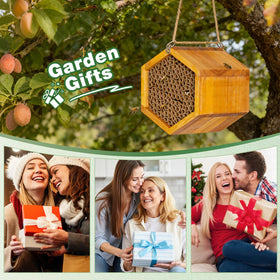 Pollibee Bee House ready-to-use in garden setup demonstrates pollination potential