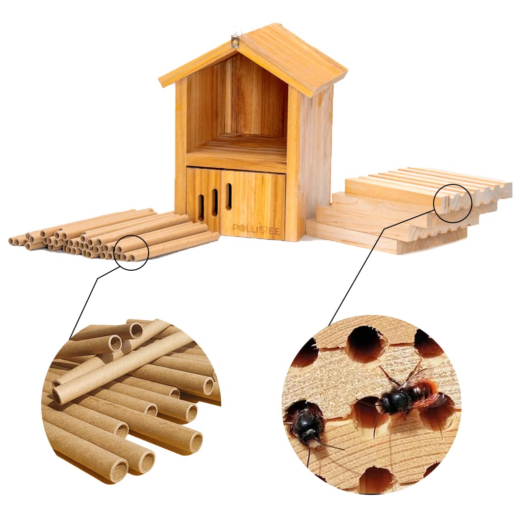 POLLIBEE Mason Bee House with removable paper tube for maintenance