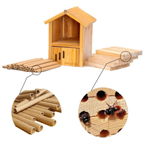 POLLIBEE Mason Bee House with removable paper tube for maintenance