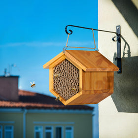 Mason bee tube with 5-16 inch diameter holes for cocoons and pollination.