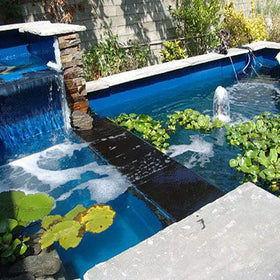 Algae-friendly Pond Shield surface easy to wipe clean