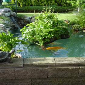 Self-priming Pond Shield demonstrates reliable adhesion on rough substrates