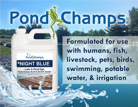 Pond Champs Night Blue-Black Dye swatch showing rich color depth.