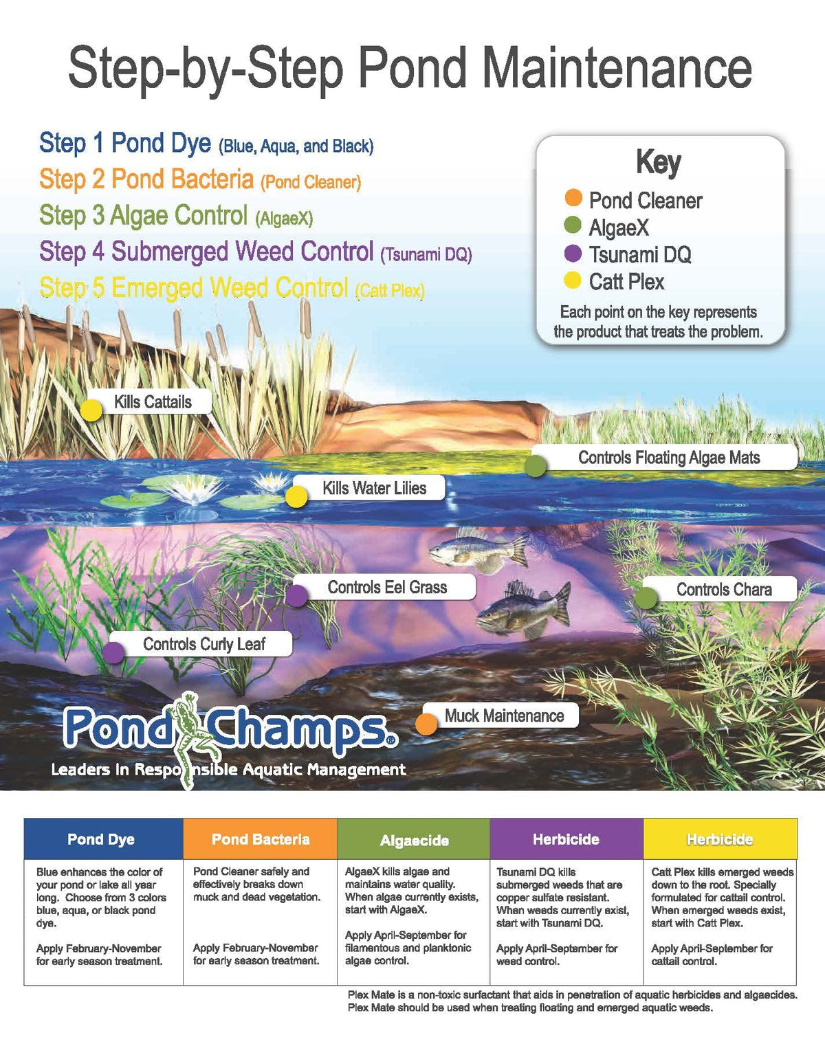 Pond Champs golf course pond dye adding vibrant blue hue to water