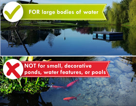 Pond Champs professional-grade dye setup ready for application in ponds.
