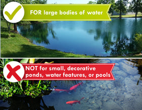 Pond Champs residential pond dye setup for curb appeal