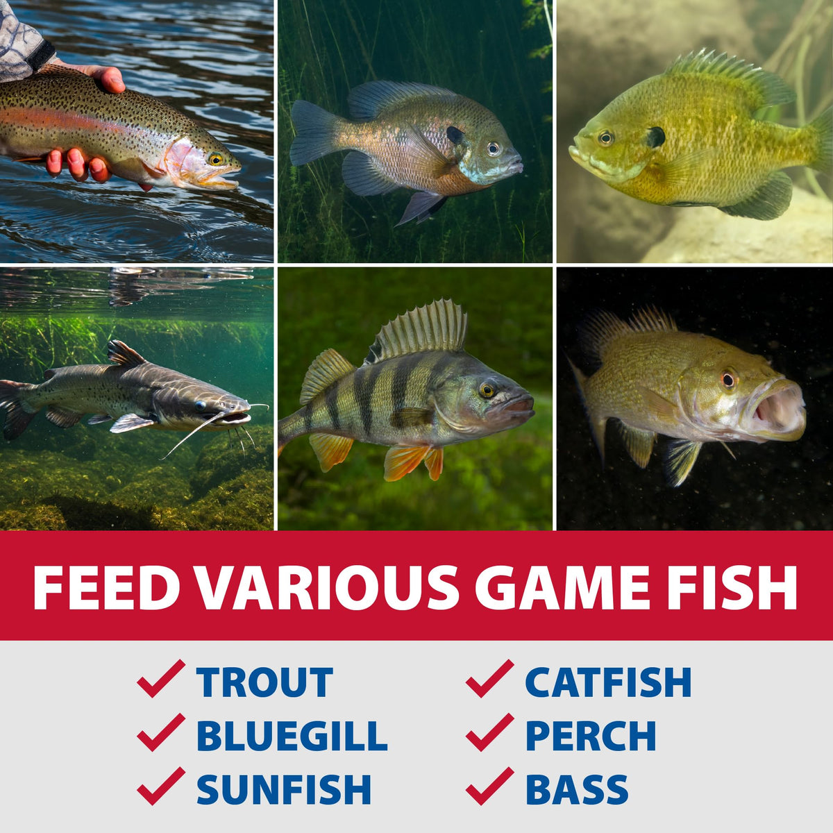 The Pond Guy Game Fish Grower nutrient-rich formula promotes activity and energy.