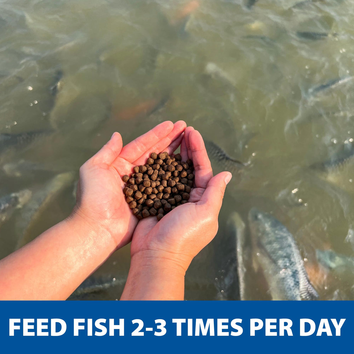 The Pond Guy Game Fish Grower easy-to-store pellets ready for feeding days.