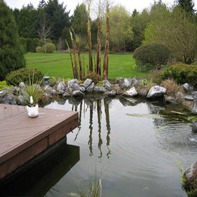 Pond Shield 24-hour cure time enabling quick project completion.