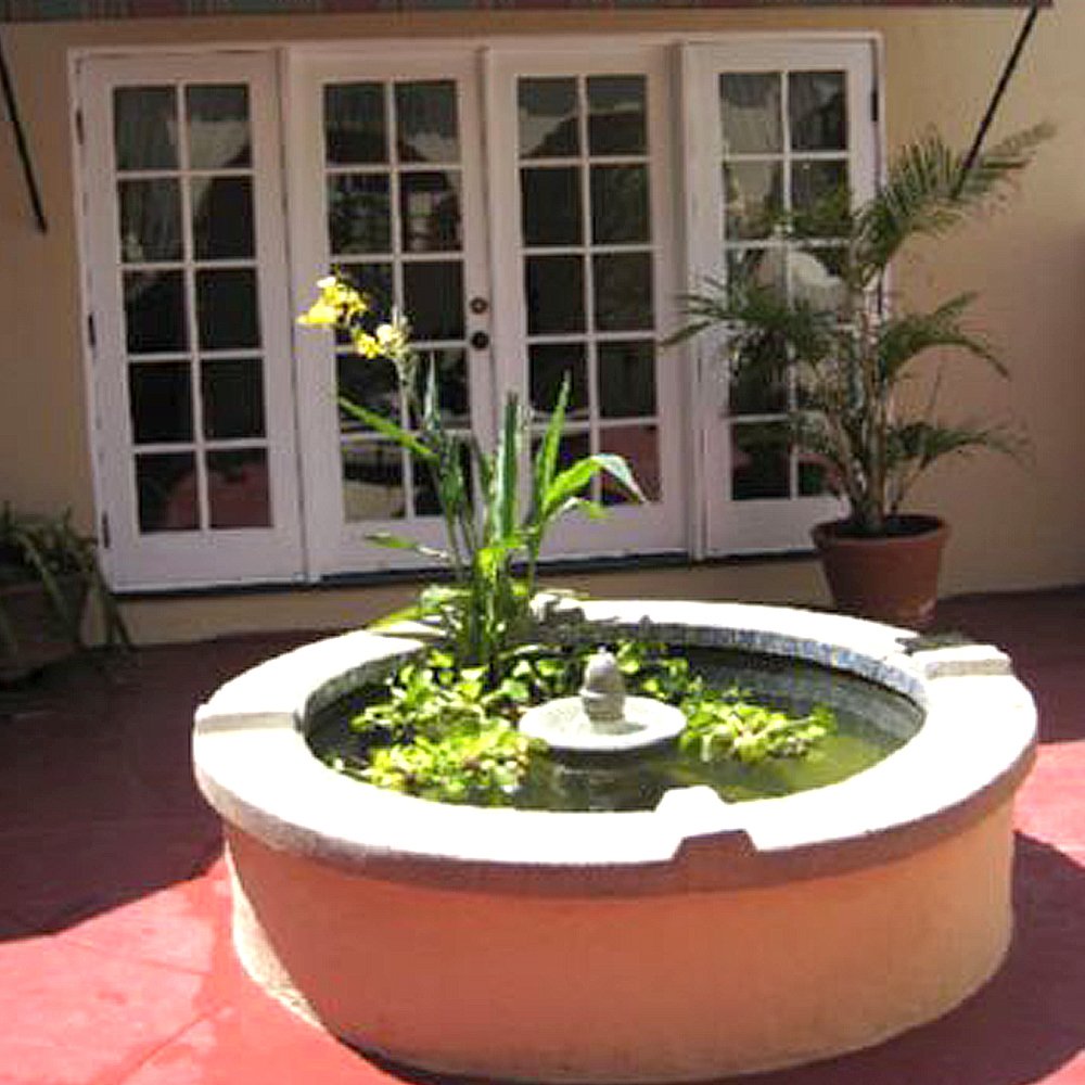Pond Shield treated pond surface safe for fish and plants.