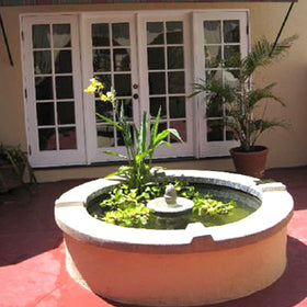 Pond Shield treated pond surface safe for fish and plants.