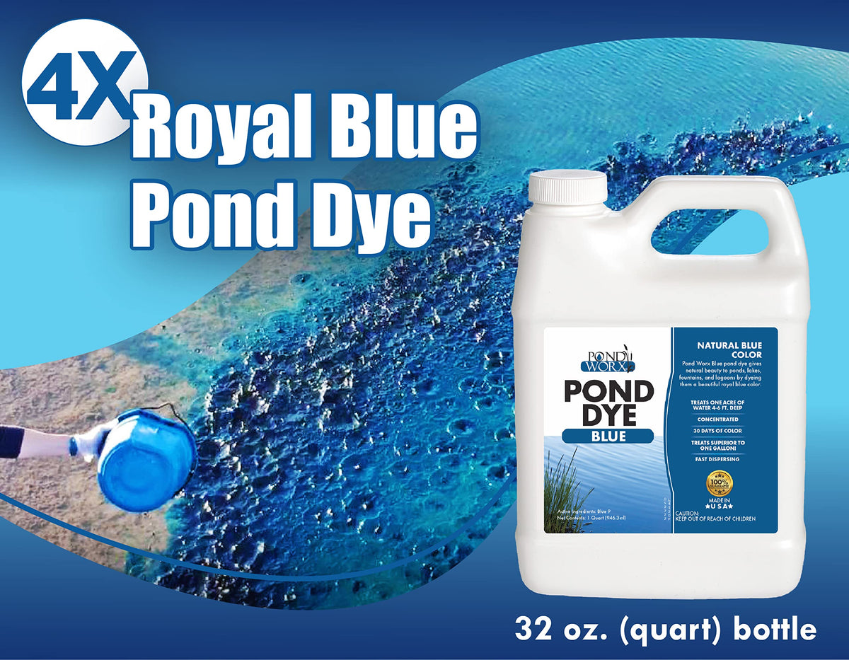 Pond Worx blue pond water before image shows murky conditions