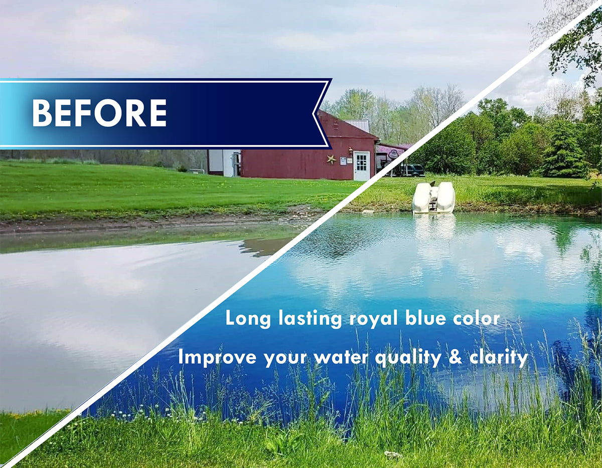 Pond Worx four-times-concentrated dye bottle for wide pond coverage