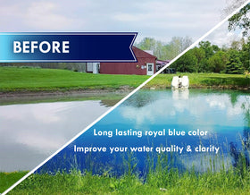 Pond Worx four-times-concentrated dye bottle for wide pond coverage