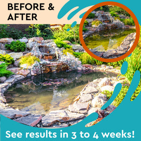 PondBliss 8 oz bottle treats up to 50 gallons weekly.