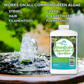 PondBliss algaecide-application demonstrates easy fountain treatment for clearer water.
