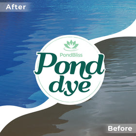 PondBliss Mountain Blue Dye poured into water shows immediate color enhancement.