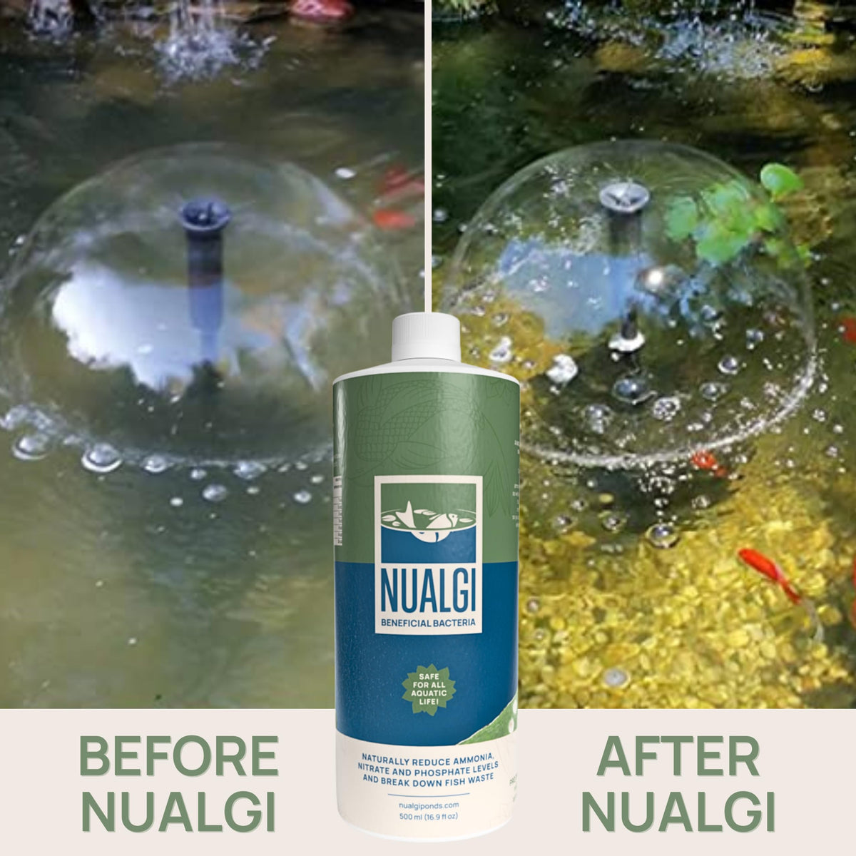 PondPatrol Nualgi bacteria-jar with multi-strain formula
